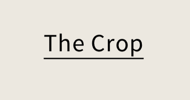 The Crop